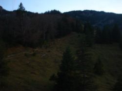 2013-10-26_Schildenstein (413).JPG